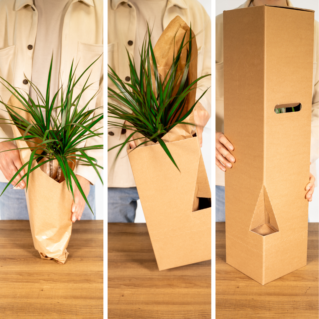 PROMO - Tuinkruiden Mix - 4 stuks - Ø14cm - ↕18cm