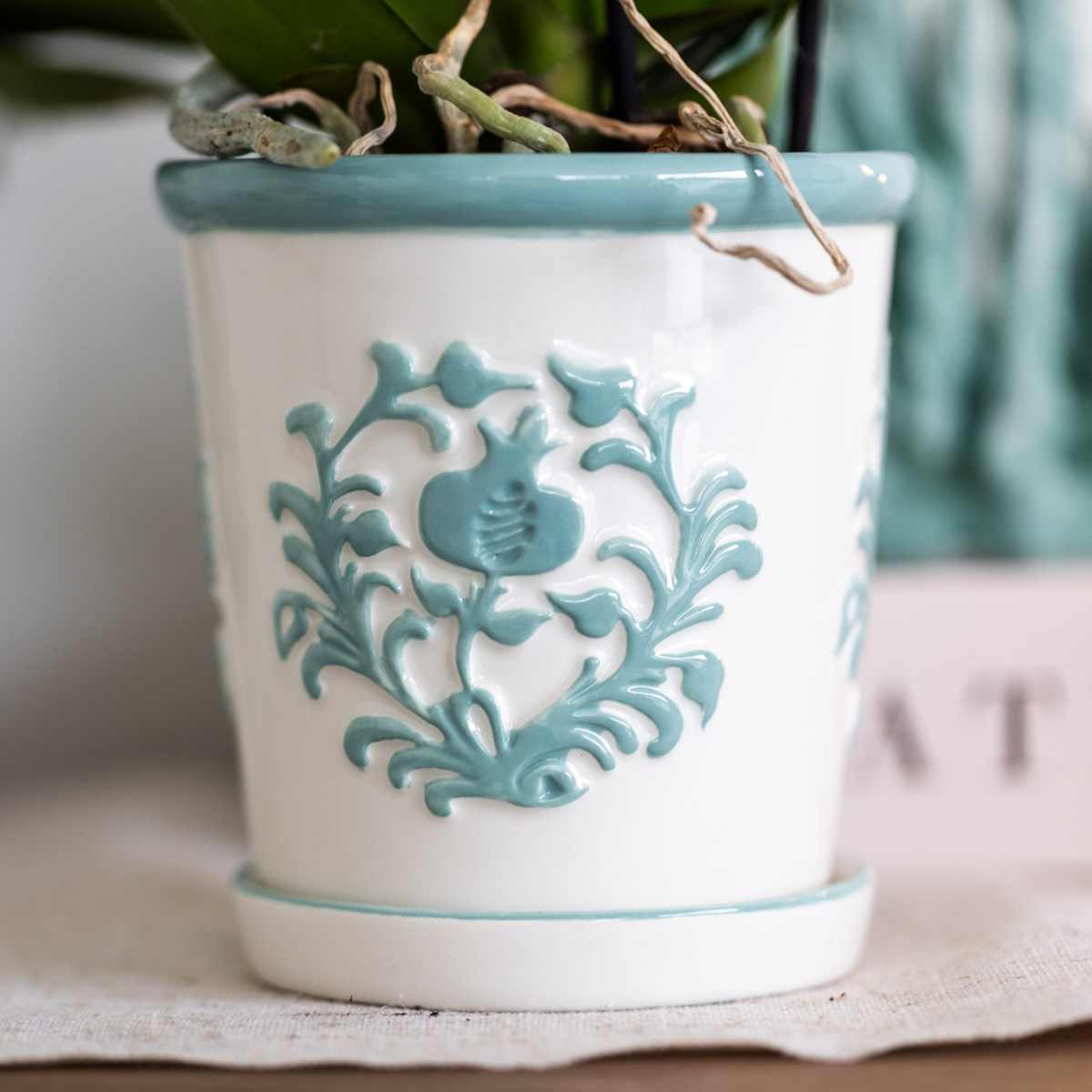 Kolibri Company | Plantenset Witte Phalaenopsis Orchidee Amabilis en Succulenten incl. keramieken Malaga sierpotten