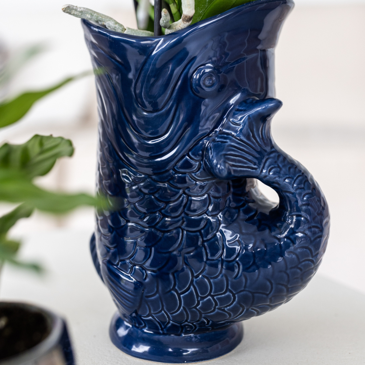 Kolibri Orchids | Set van orchidee Lima en succulenten in keramieken sierpotten - potmaat Ø9cm & Ø6cm | bloeiende kamerplant - vers van de kweker